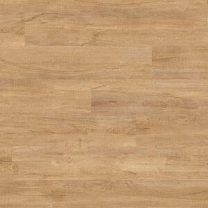 0796 Swiss Oak Golden