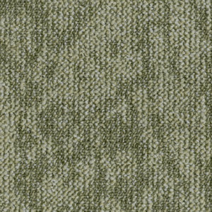 Desert_7954