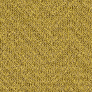 EdgesLarge_6201