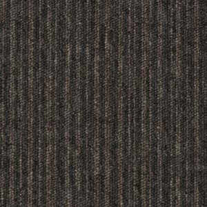 EssenceStripe_2933
