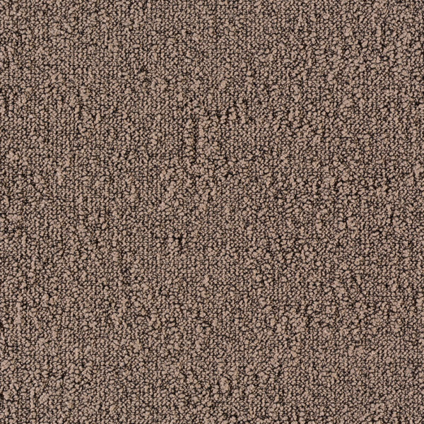 Fields_2934