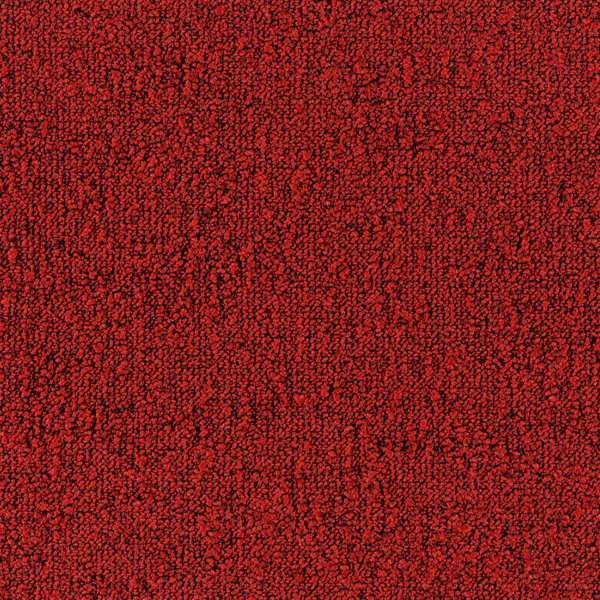 Fields_4202