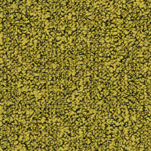 Fields_6218