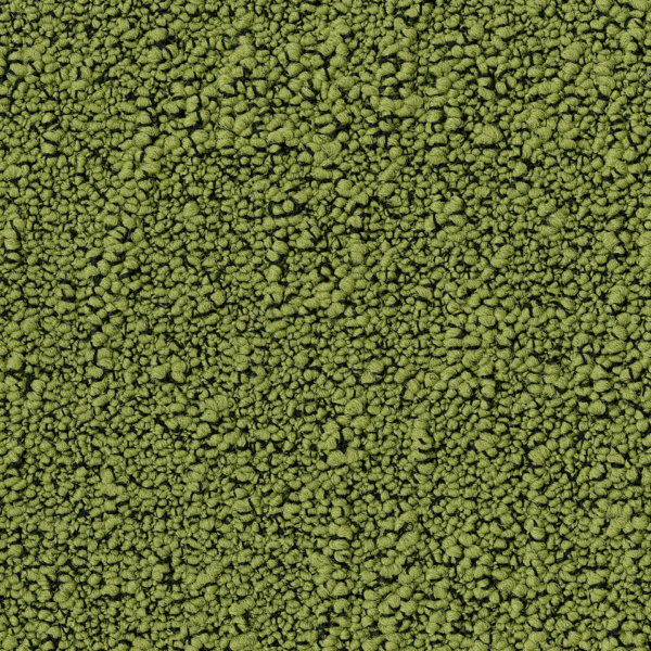 Fields_7072