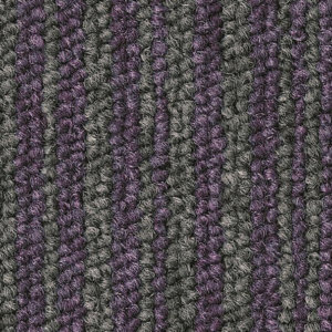 EssenceStripe_3211