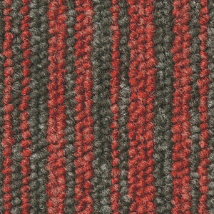 EssenceStripe_4411