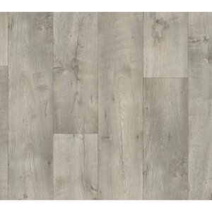997 D VALLEY OAK